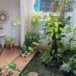 Mencintai Tanaman Bermanfaat Bagi Kesehatan Fisik dan Psikis